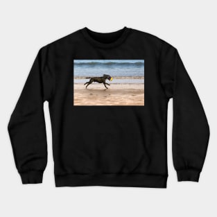 Dog &ball- Filey, Crewneck Sweatshirt